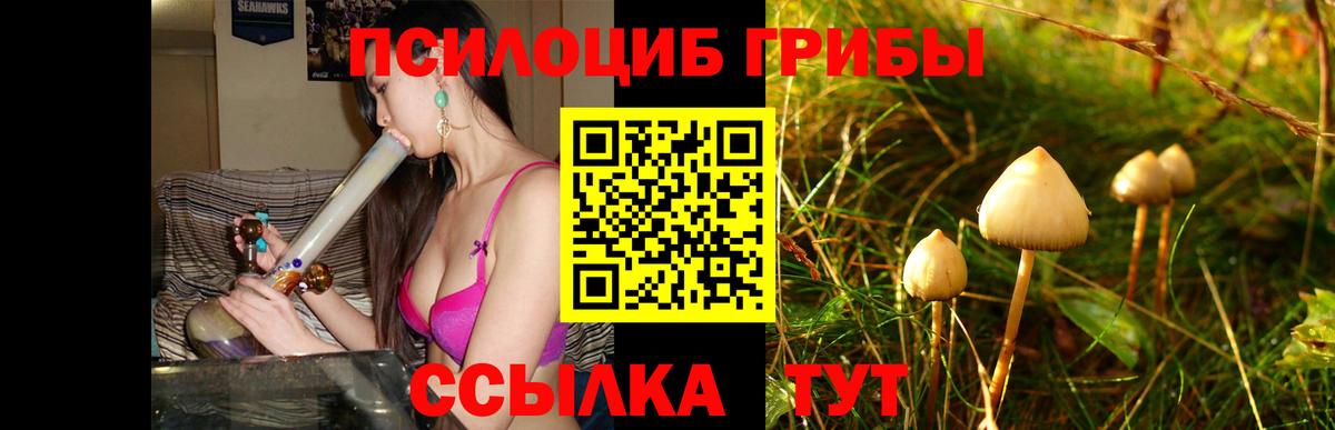 Псилоцибиновые грибы мицелий Якутск
